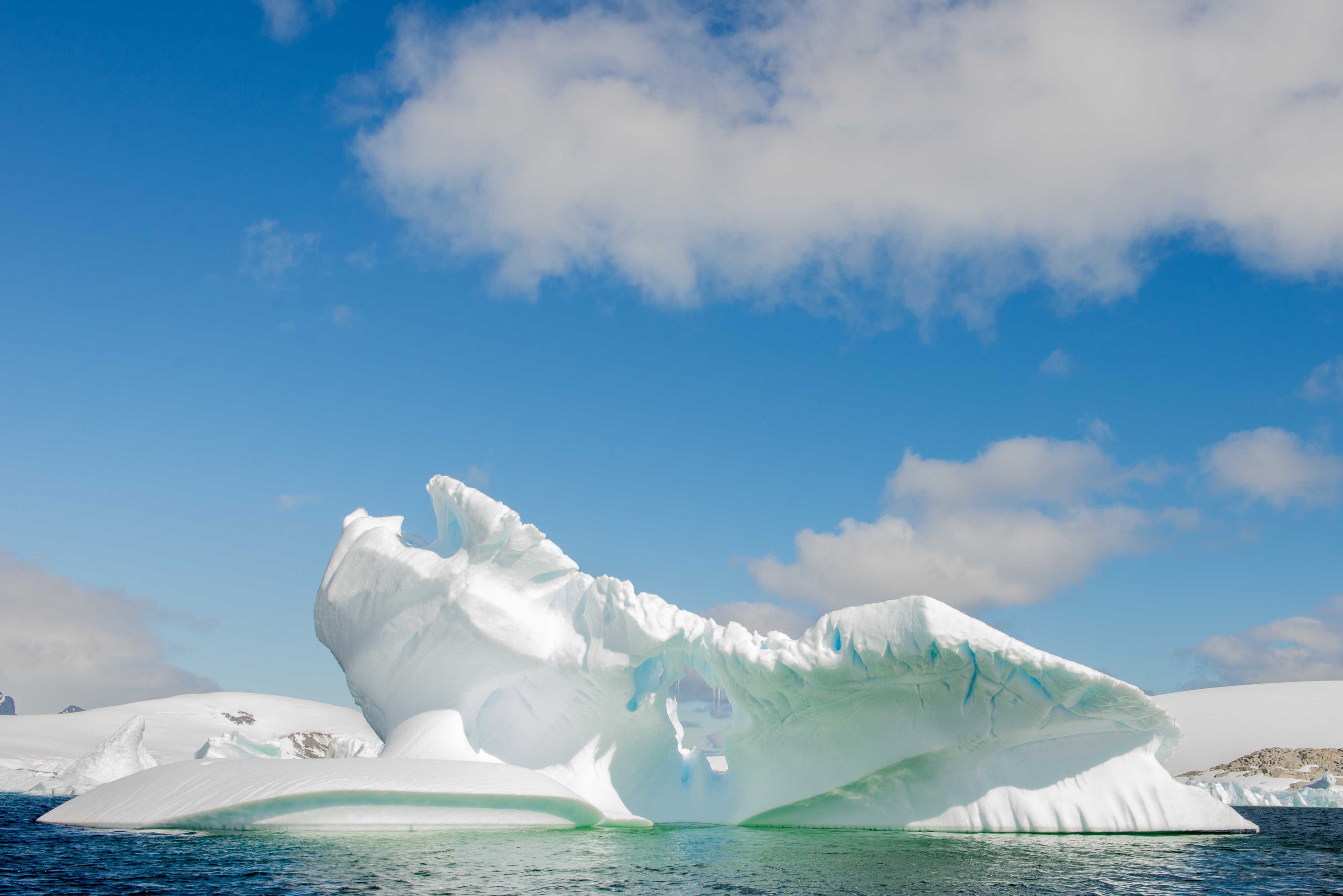 the icebergs in antarctica are stunning.