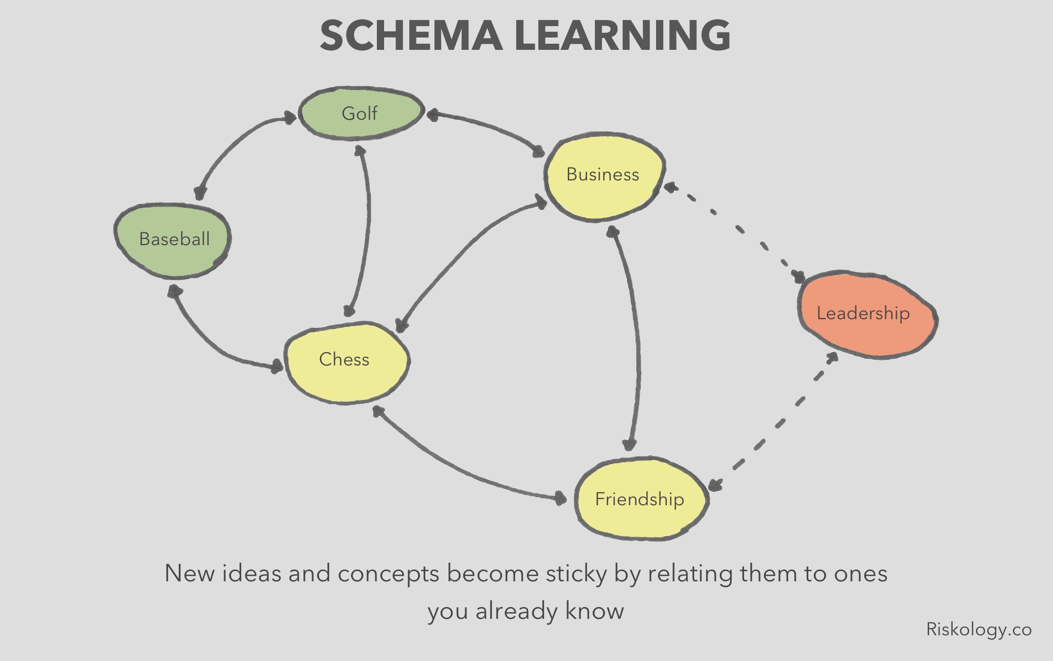 Schema Learning Riskology